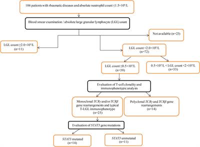 STAT3 mutations in “gray-zone” cases of T-cell large granular lymphocytic leukemia associated with autoimmune rheumatic diseases